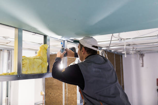 Types of Insulation We Offer in Ceresco, NE