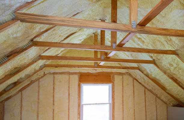 Best Cellulose Insulation in Ceresco, NE