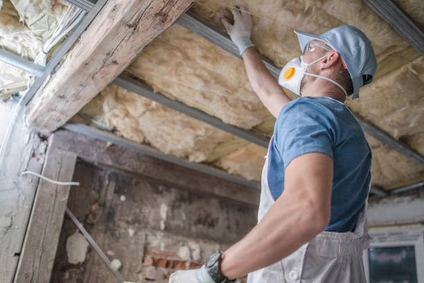 Best Eco-Friendly Insulation in Ceresco, NE