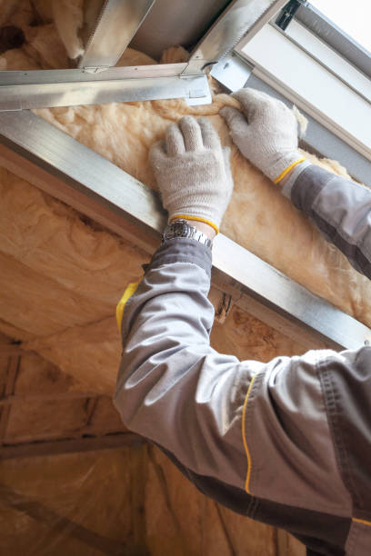 Best Spray Foam Insulation in Ceresco, NE